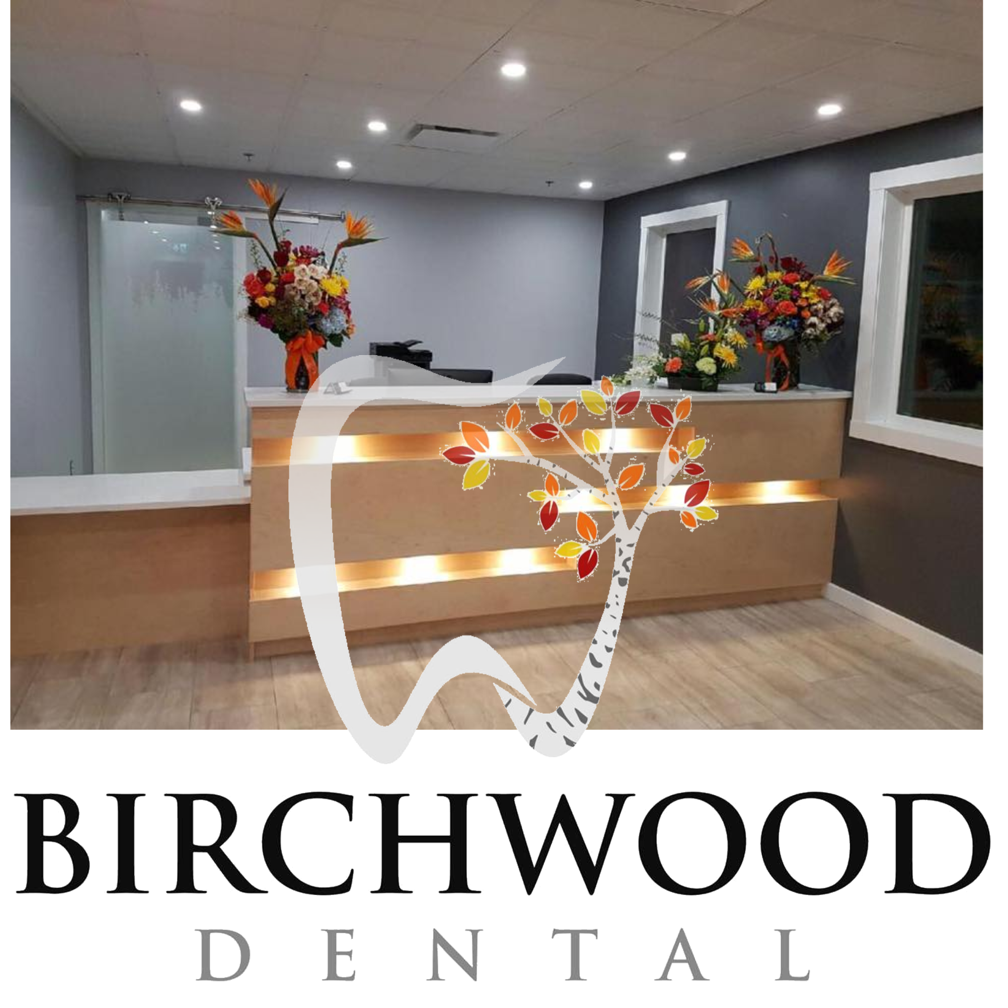 take the tour of Birchwood Dental, Yellowknife's newest dental clinic!
